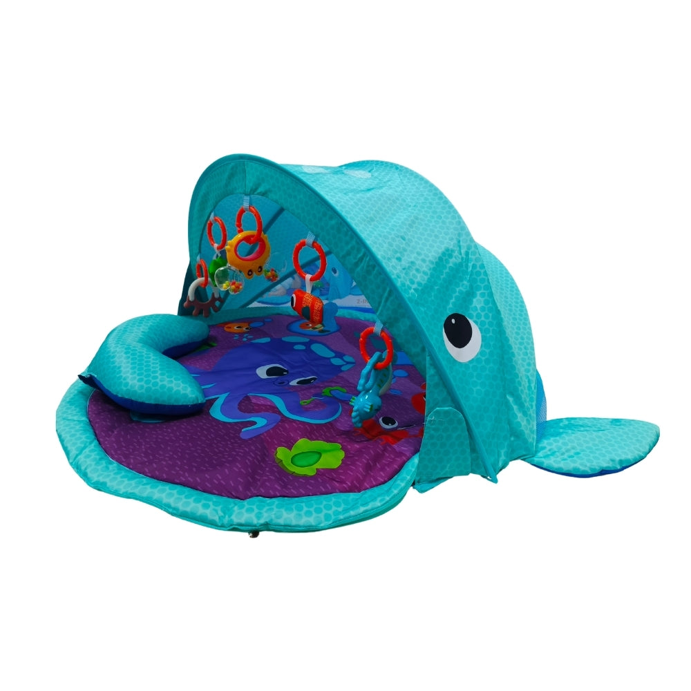 Gimnasio de estimulación tiburón tipo carpa