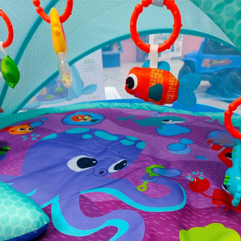 Gimnasio de estimulación tiburón tipo carpa