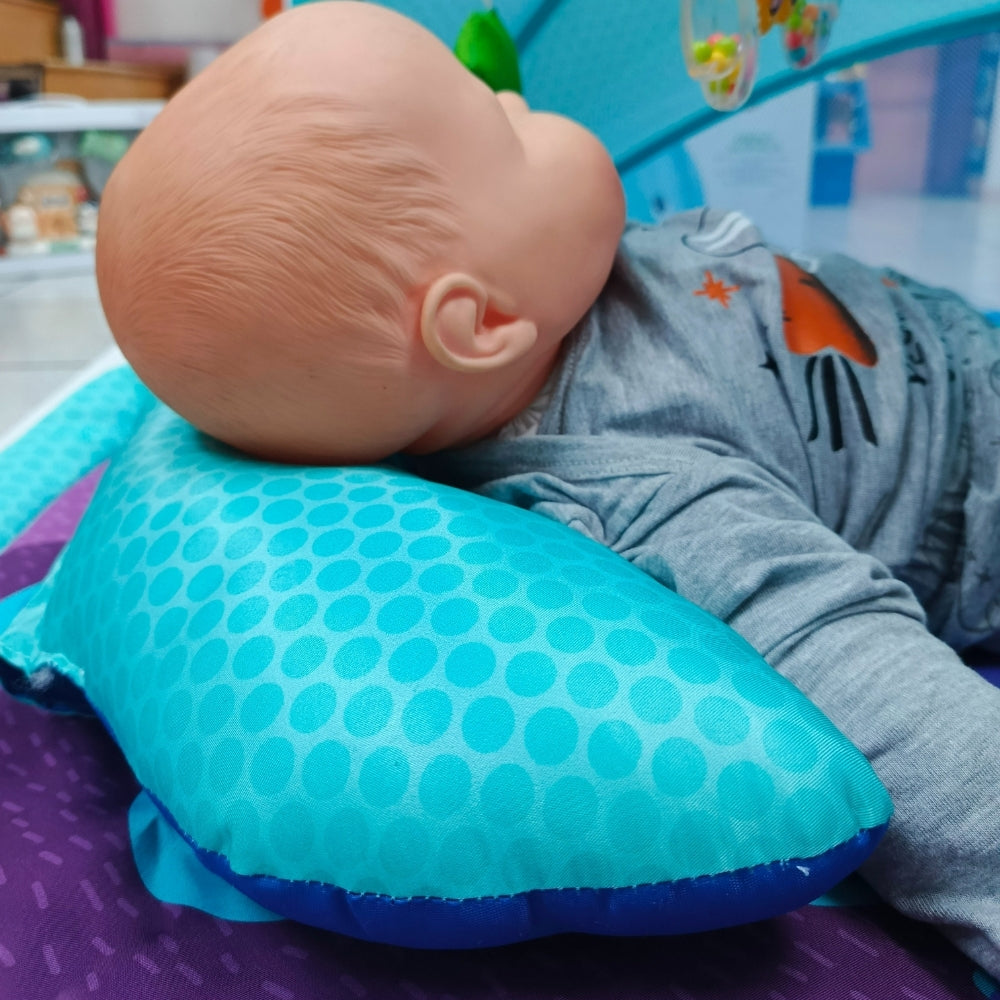 Gimnasio de estimulación tiburón tipo carpa