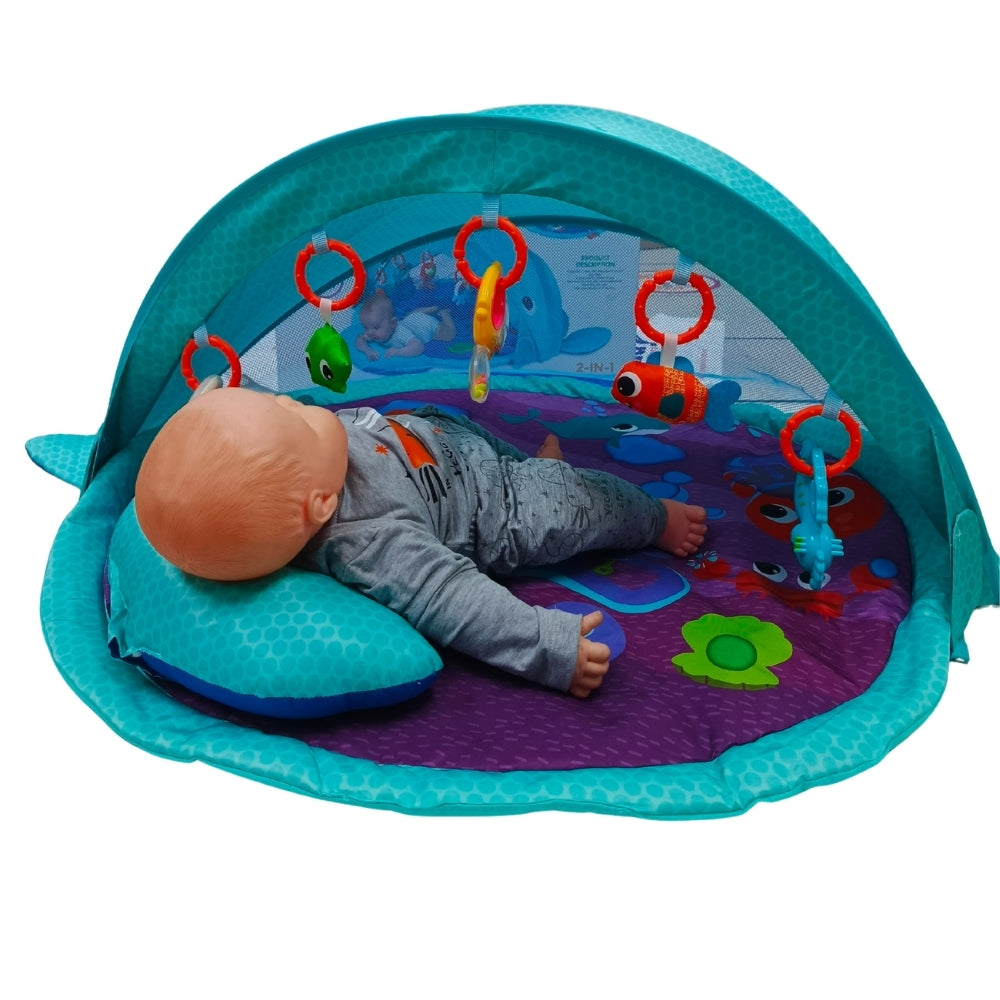 Gimnasio de estimulación tiburón tipo carpa